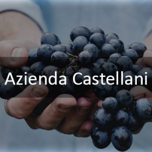 Azienda Castellani