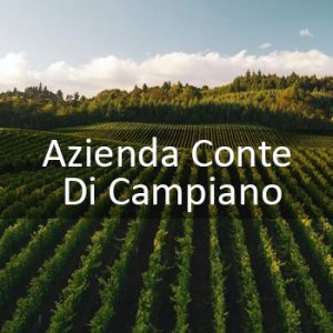 Azienda Conte Di Campiano
