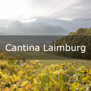 Cantina Laimburg